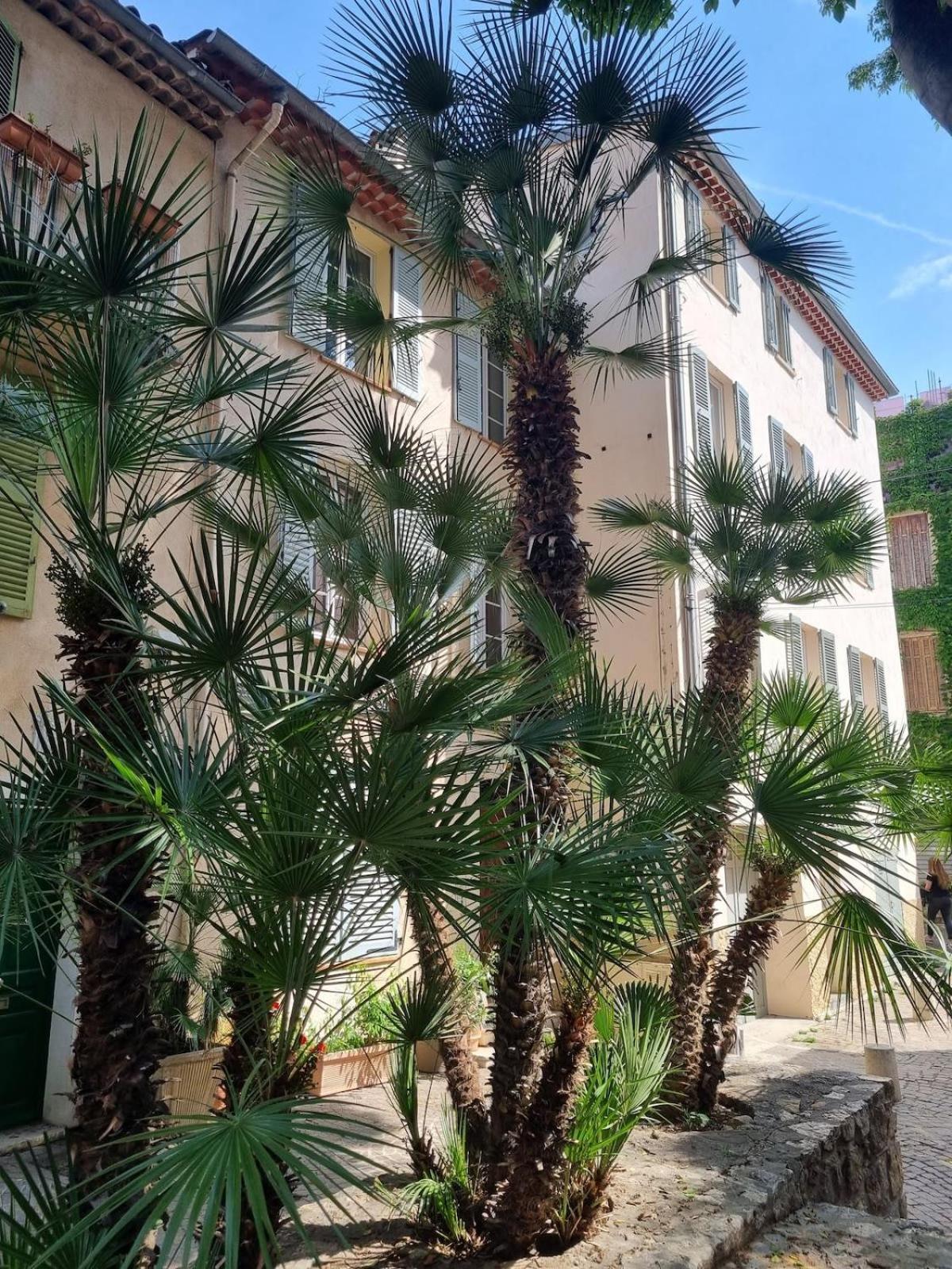 06An - Beautiful Apartment In The Heart Of Old Antibes Exteriér fotografie